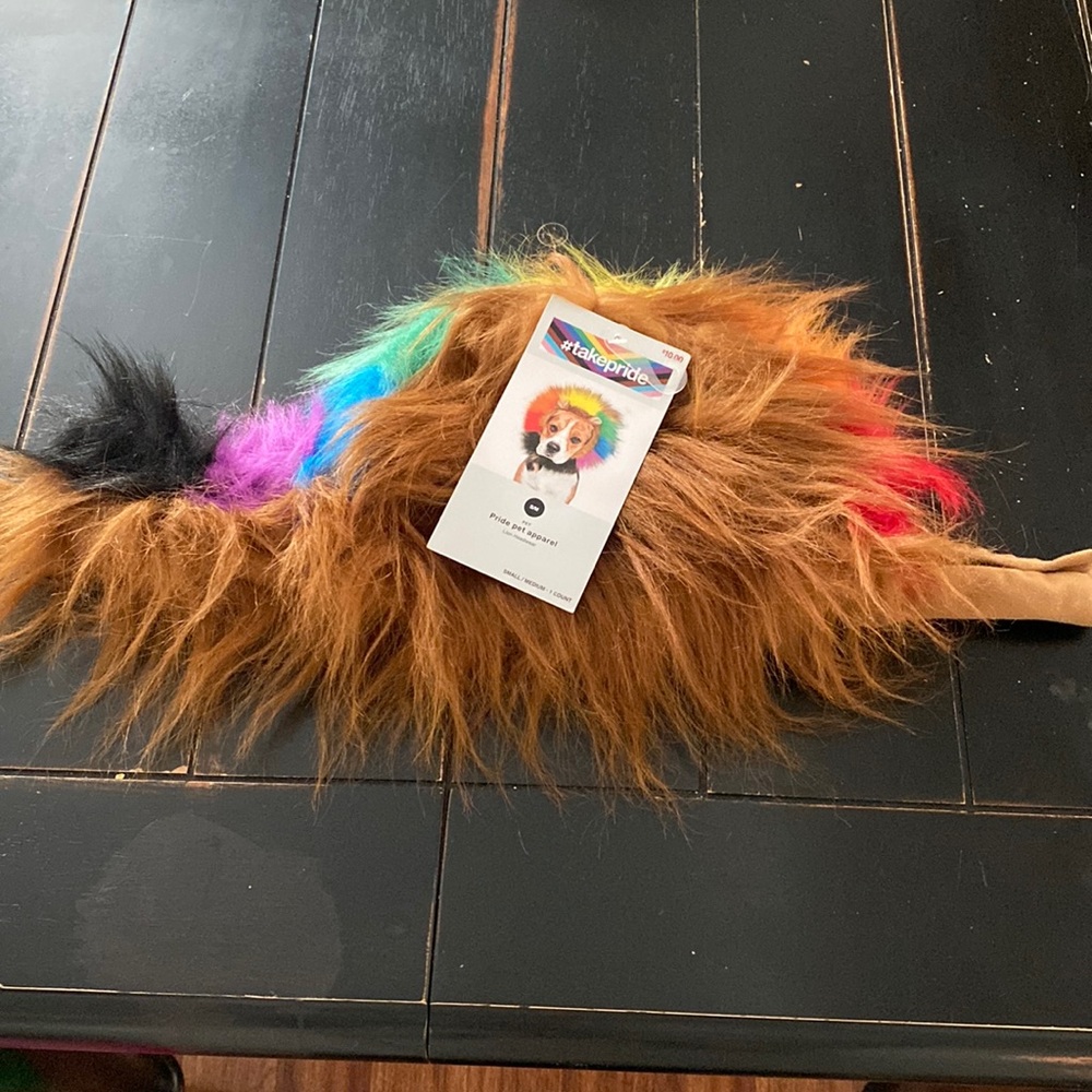 Pride lion dog hat